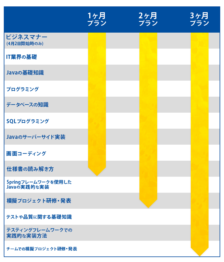 Tech Fun ITスクールの新卒Java研修のプラン
