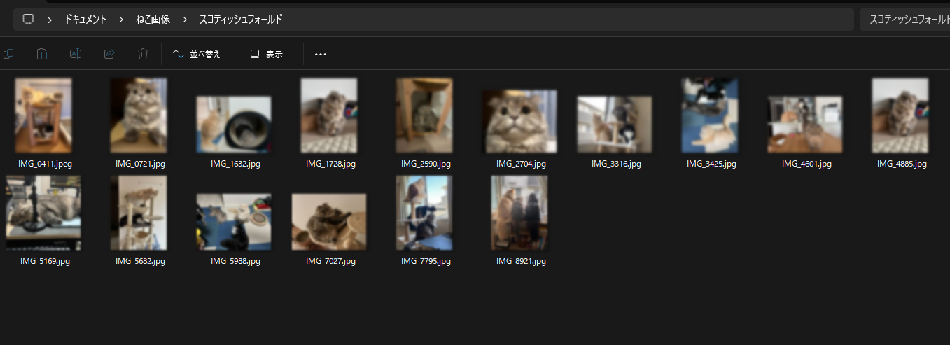 分類された画像